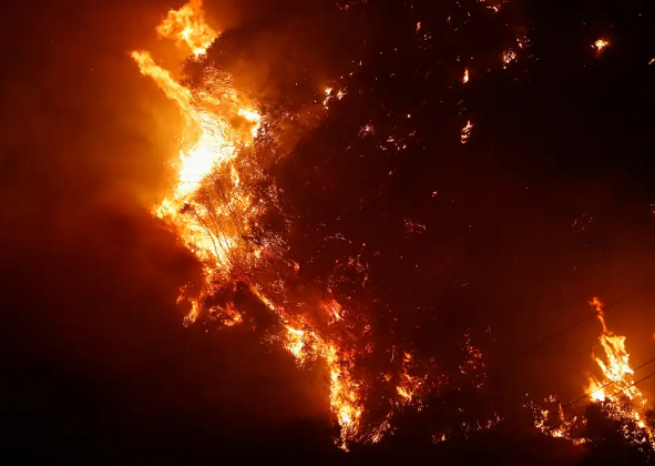 POLÍCIA DO RIO IDENTIFICA 34 AUTORES DE INCÊNDIOS FLORESTAIS