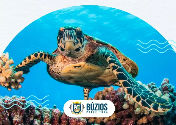 BÚZIOS PRESENTE NO MÊS DO AMBIENTE REALIZA LIMPEZA DO FUNDO DO MAR NA PRAIA DO CANTO NESTE SÁBADO