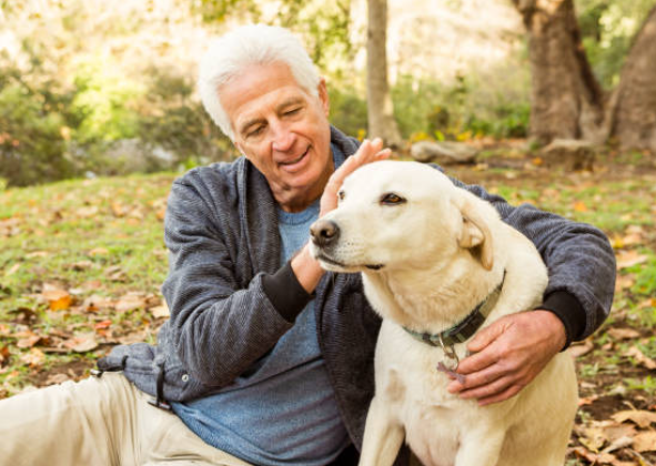 AILTON, SEU CÃO LICO E A ALEGRIA DE VIVER