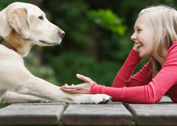 CÃES FALAM