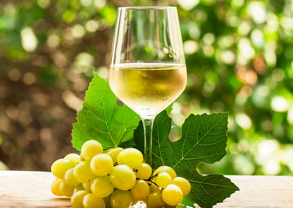 CHARDONNAY: A RAINHA DAS UVAS BRANCAS